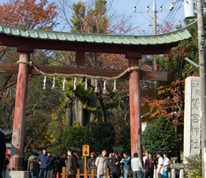 �u�炫�������v�̃u�����`�������Q�qin�h�{